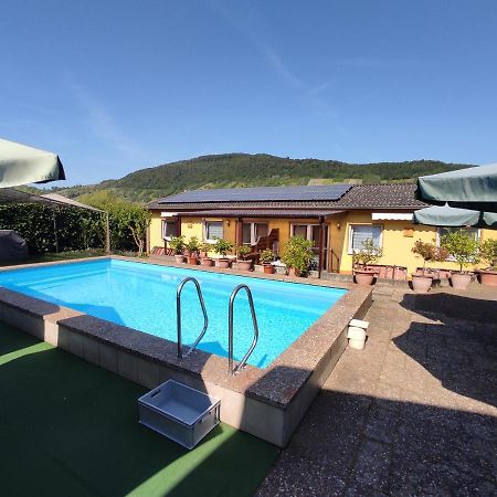 Apartmán Moselferienweingut Schaefer Wintrich Exteriér fotografie