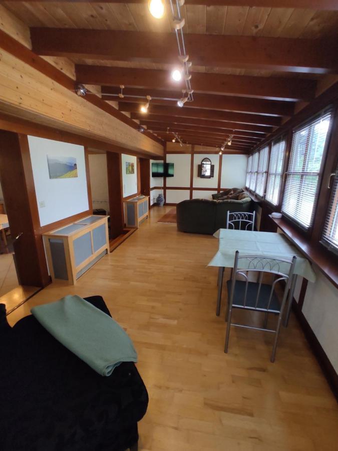 Apartmán Moselferienweingut Schaefer Wintrich Exteriér fotografie
