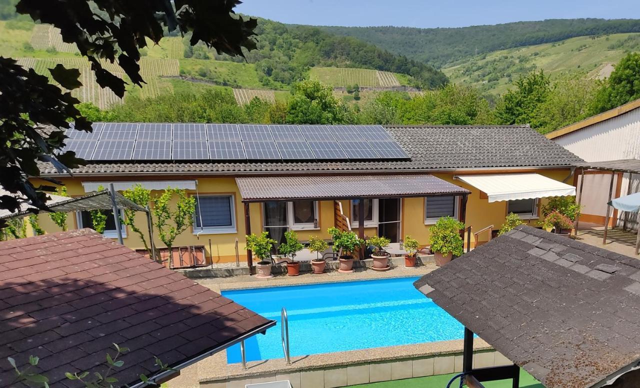 Apartmán Moselferienweingut Schaefer Wintrich Exteriér fotografie