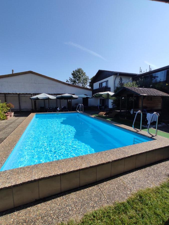 Apartmán Moselferienweingut Schaefer Wintrich Exteriér fotografie