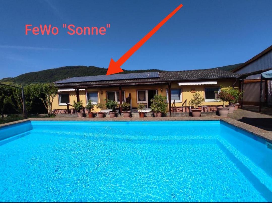 Apartmán Moselferienweingut Schaefer Wintrich Pokoj fotografie